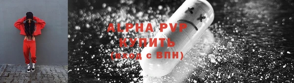 стафф Козельск
