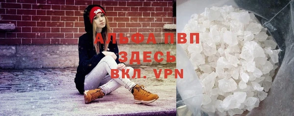 амф Козловка