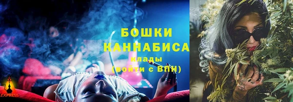 экстази Щигры
