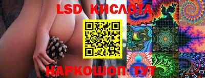PSILOCYBIN Дубна