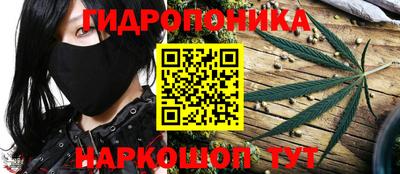 крисы Донецк