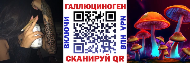 Галлюциногенные грибы Psilocybine cubensis  Курган 