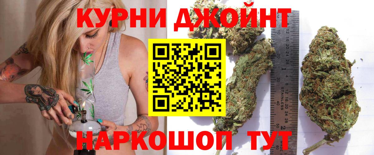 МАРИХУАНА сатива  Марихуана планчик  Вход с VPN  Шишки марихуана сатива  Курган 